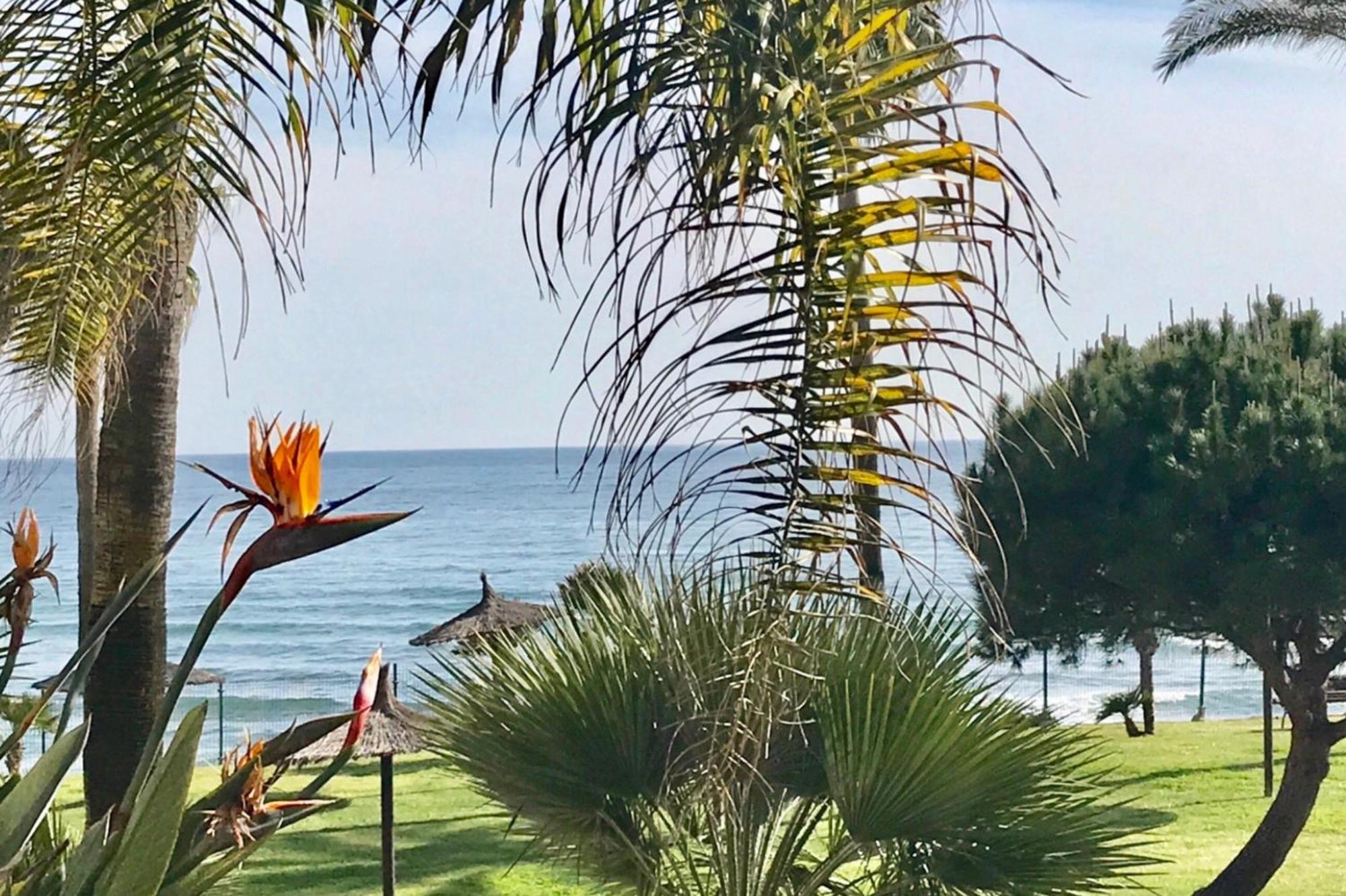 Mi Capricho 2D Beachfront- Apartment With Sea View - Costa Del Sol Sitio de Calahonda Екстер'єр фото