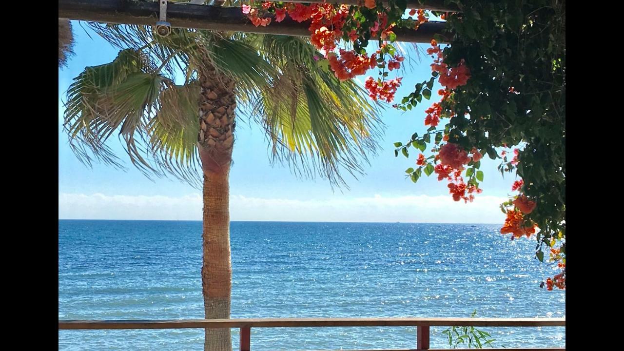 Mi Capricho 2D Beachfront- Apartment With Sea View - Costa Del Sol Sitio de Calahonda Екстер'єр фото